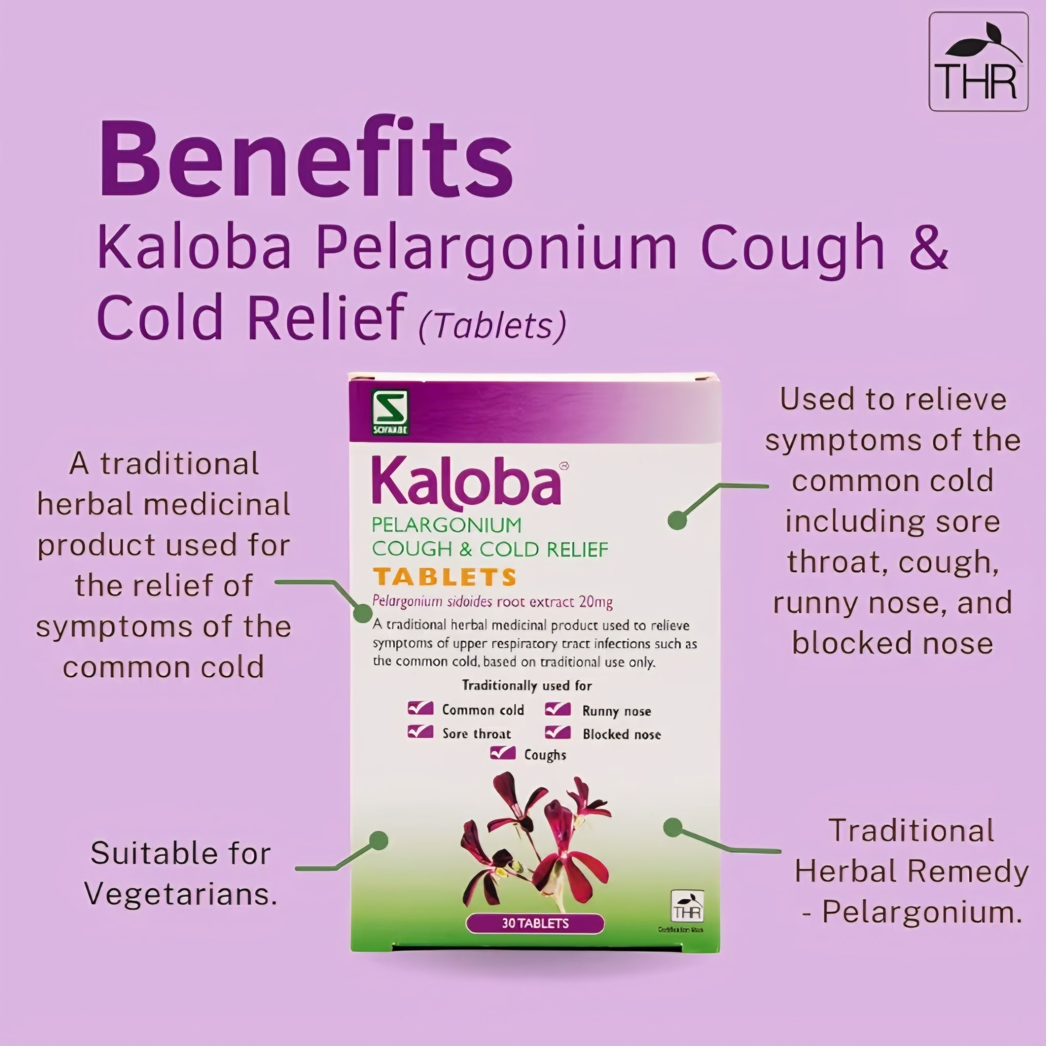 Kaloba Pelargonium Cough & Cold Relief 20mg 30 Tablets – THR Herbal Remedy