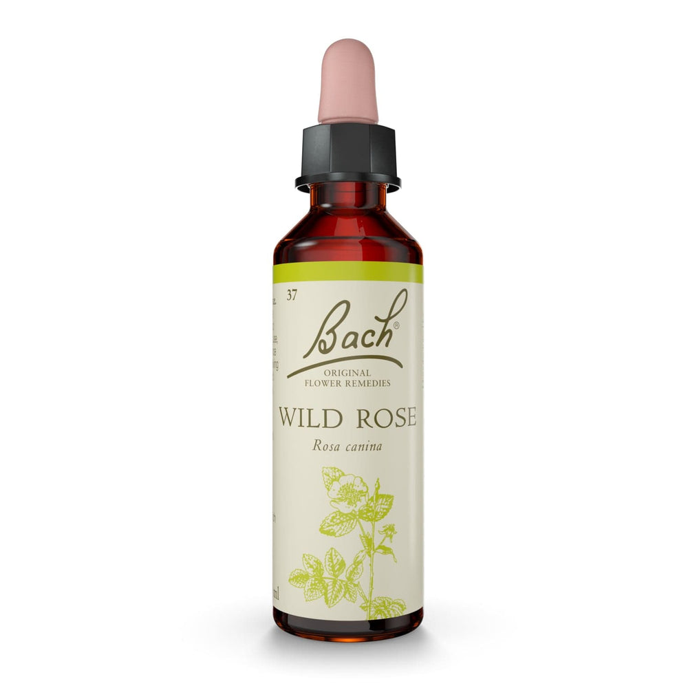 Dr Bach Original Flower Remedies Wild Rose Drops 10ml Emotional Wellness Remedy