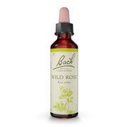 Dr Bach Original Flower Remedies Wild Rose Drops 10ml Emotional Wellness Remedy