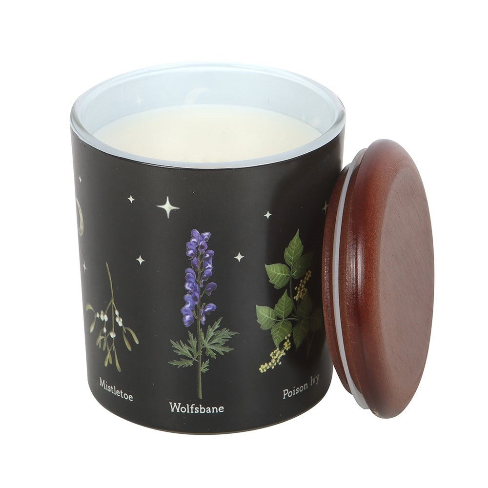 Poisonous Plants Candle Deadly Nightshade Scented Vegan Jar Gift
