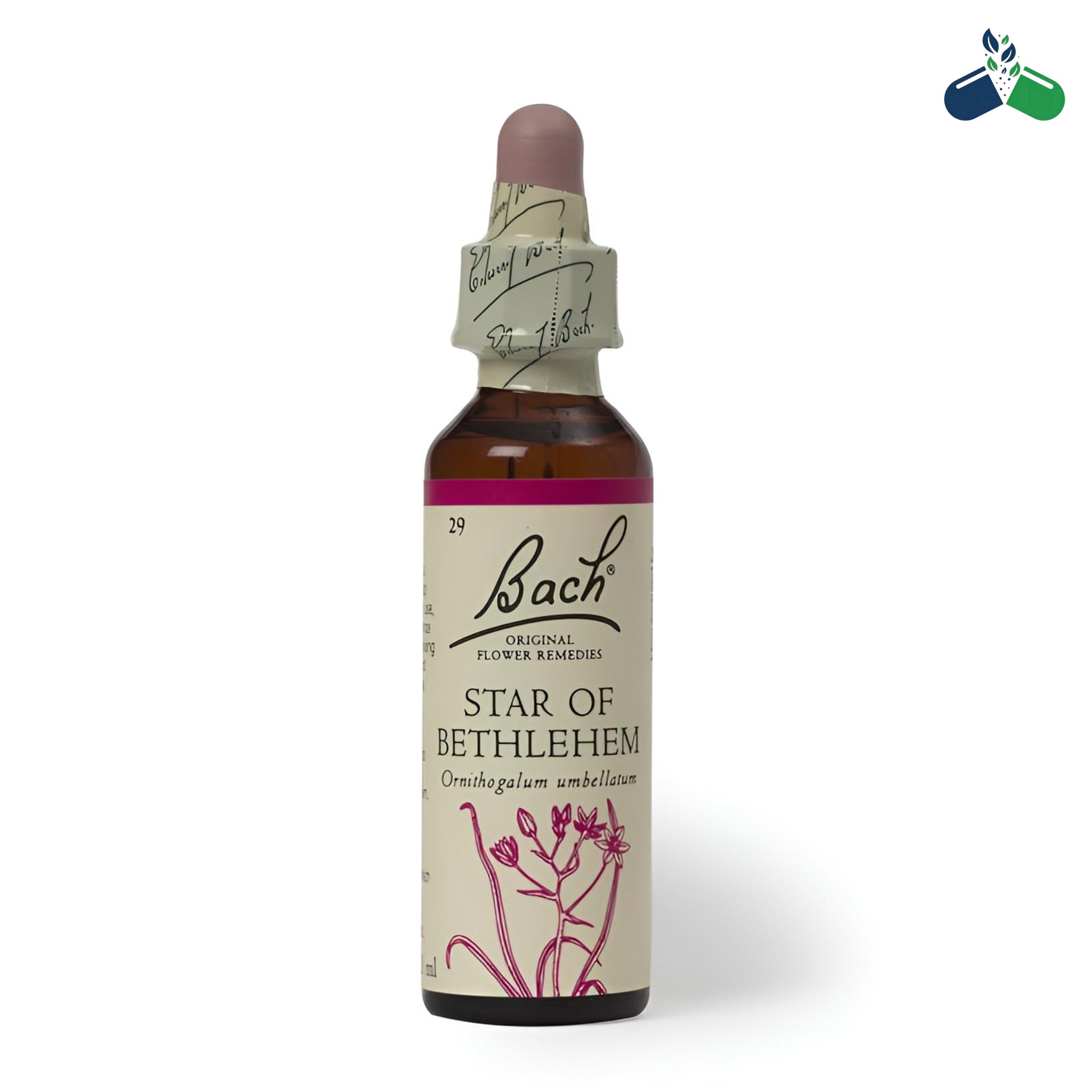 Dr Bach Herbal Star of Bethlehem Flower Remedy 10ml Traditional Support for Shock Grief & Emotional Comfort