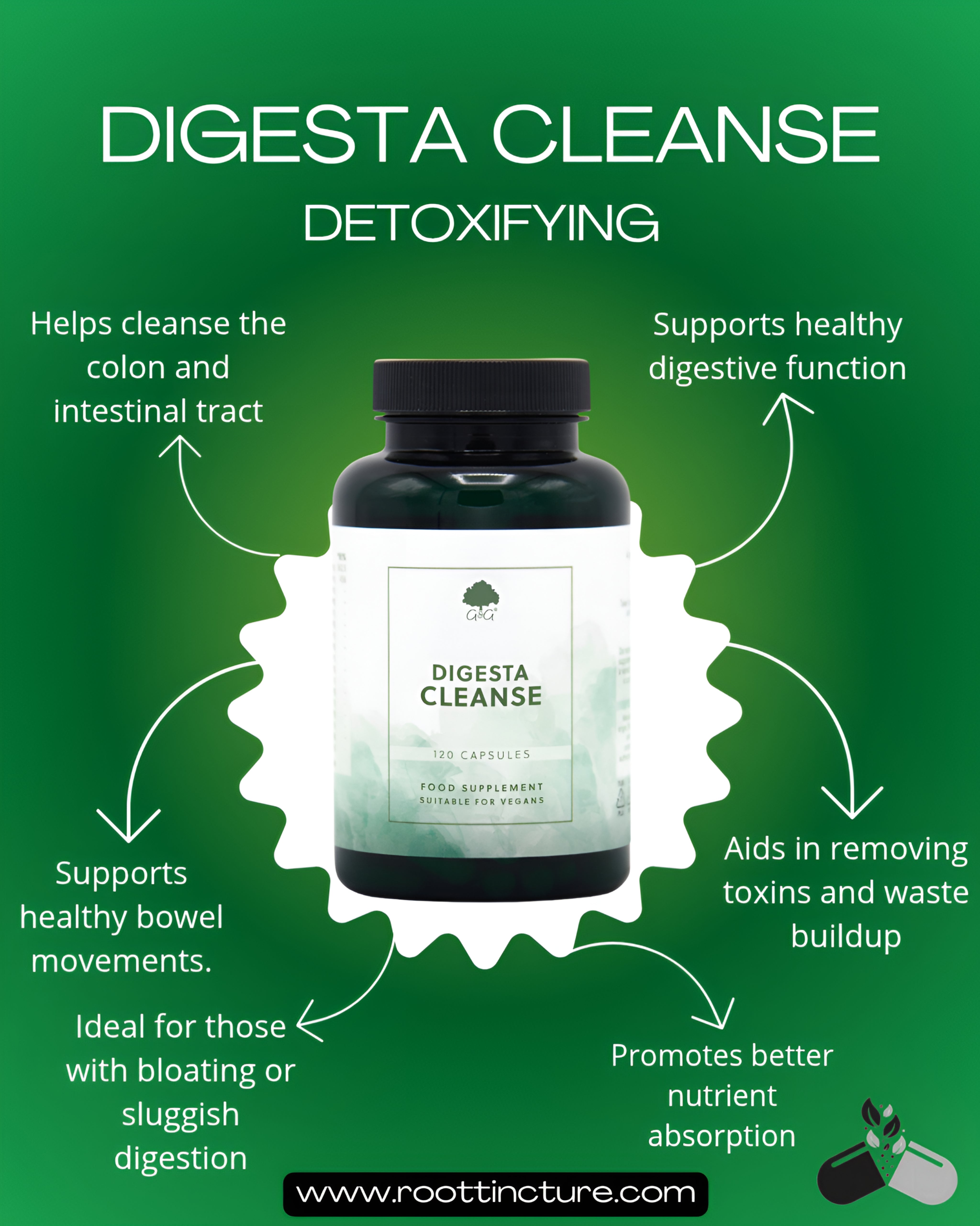 Digesta Cleanse 120 Vegan Capsules - Natural Digestive IBS Support Supplement