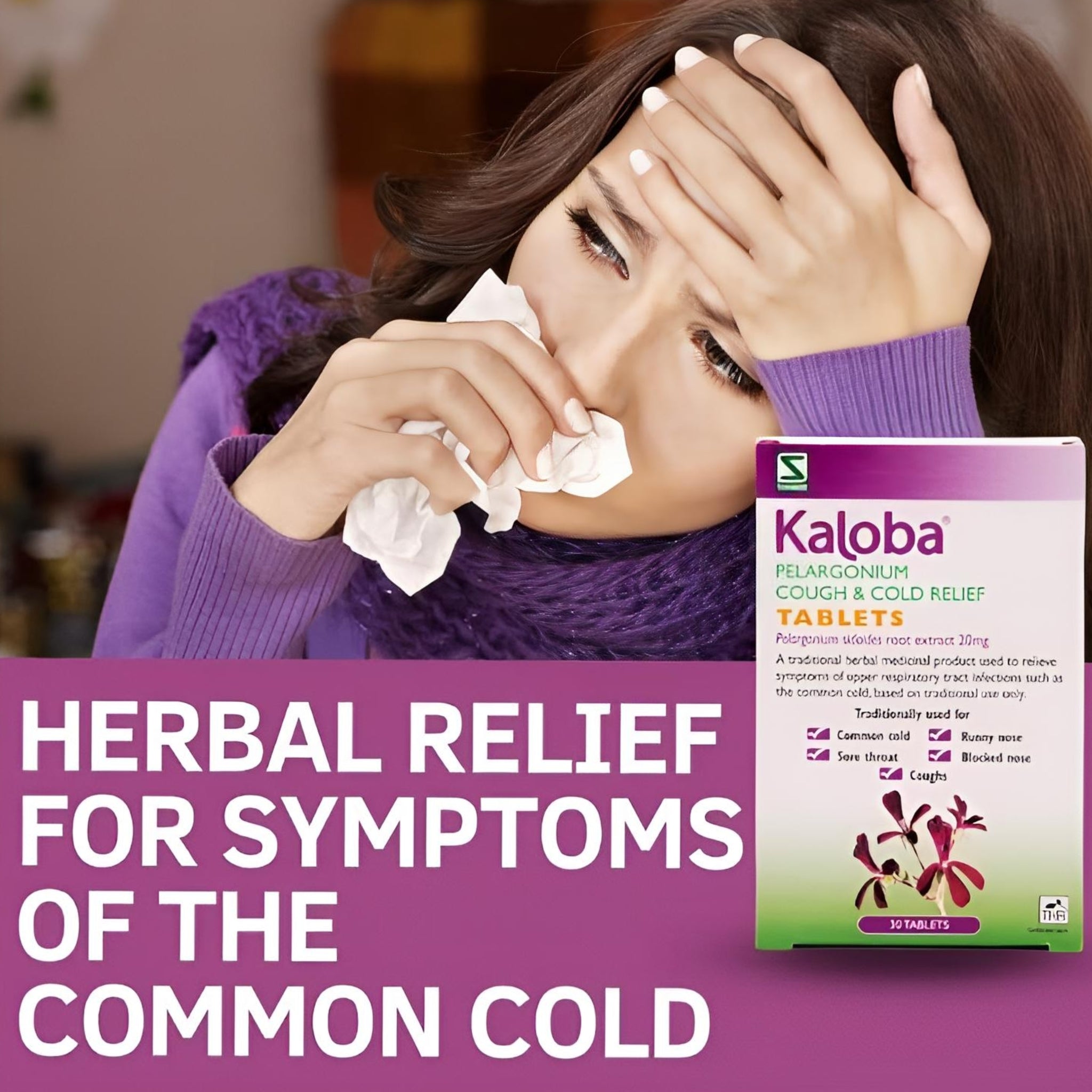 Kaloba Pelargonium Cough & Cold Relief 20mg 30 Tablets – THR Herbal Remedy