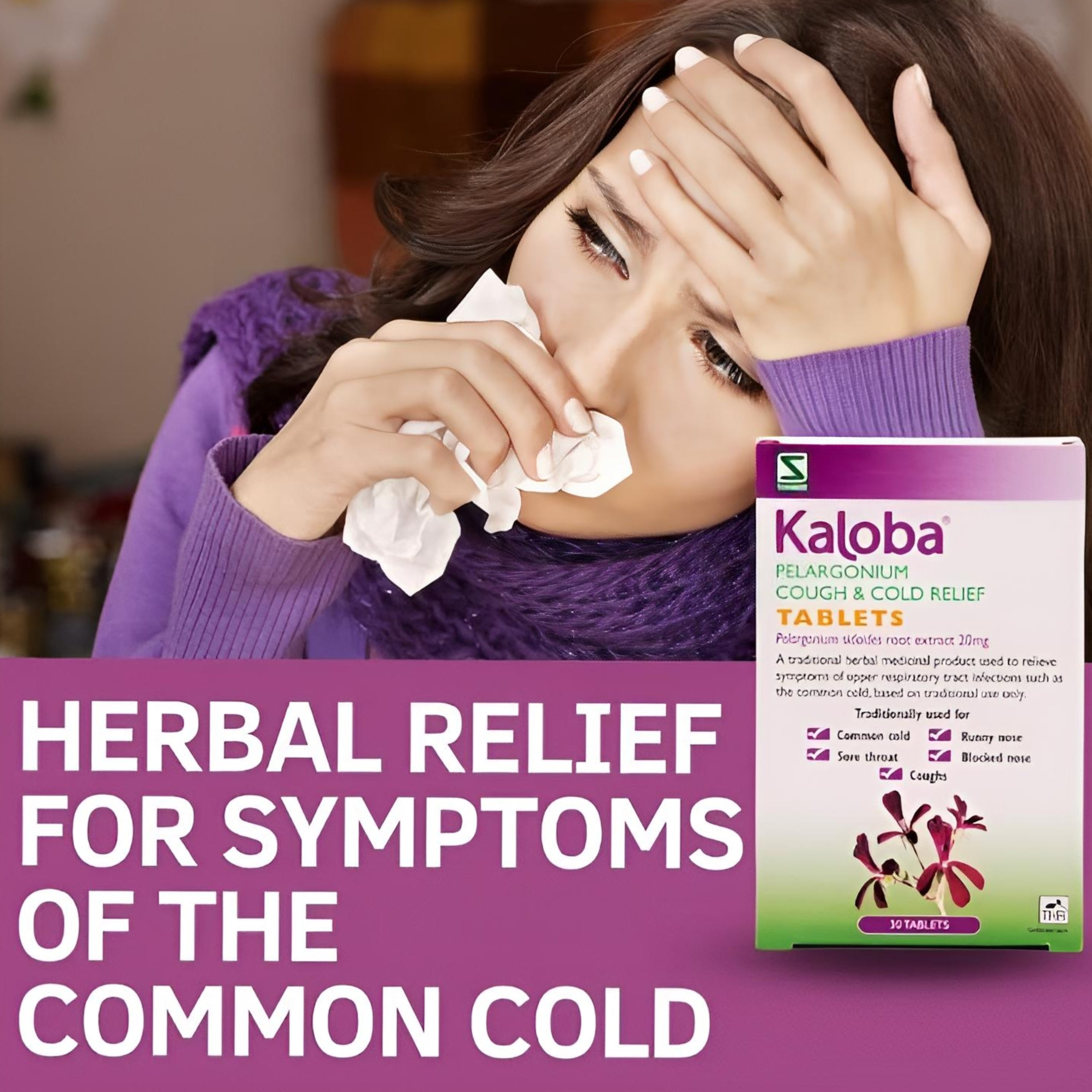 Kaloba Pelargonium Cough & Cold Relief 20mg 30 Tablets – THR Herbal Remedy
