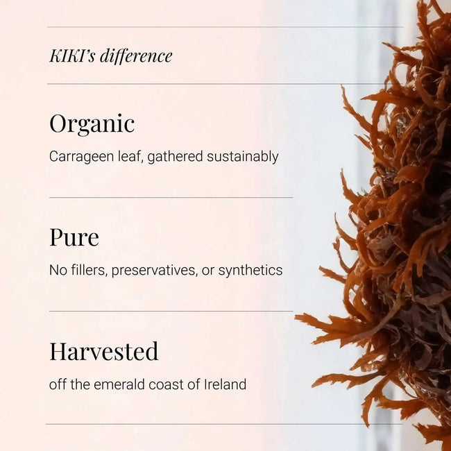 KIKI Health Organic Sea Moss 500mg 90 Capsules Irish Chondrus Crispus Energy Thyroid Gut Skin Support